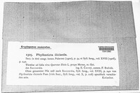 Image Associated With the Occurence